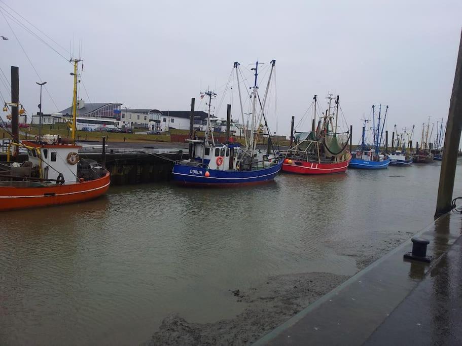 Nordsee Und Natur. Gemuetliche Fewo Mit Deichblick Дорум-Нойфельд Экстерьер фото